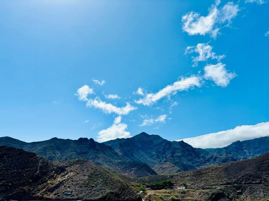 Apartament La Casa De Eloisa Santa Cruz de Tenerife Zewnętrze zdjęcie